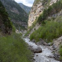 Ингушетия. Ассинское ущелье :: Gen 