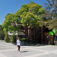 Девушка в парке :: Валентин Семчишин Девушка в парке :: Валентин Семчишин