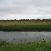 Лето :: Anna Ivanova