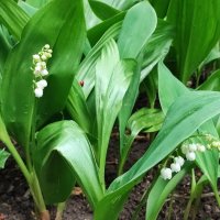 ,,, :: Сергей Тимоновский ,,, :: Сергей Тимоновский