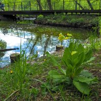 ***** :: юрий поляков