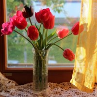 Мои тюльпаны. :: Венера Чуйкова