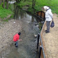 В поисках золотого песка...:-) :: Борис Бутцев