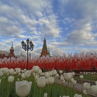 Предпраздничная Москва. :: Pippa 