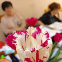 Цветной :: Татьяна Пальчикова