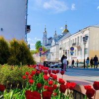 Тюльпановый город :: Галина Бобкина