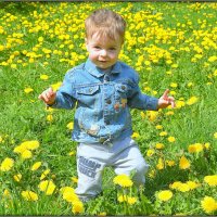 На цветочном поле :: Mike Collie