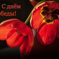 С 80 летием Великой Победы! :: Лилия *