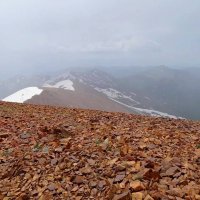 НАШИ ПРОГУЛКИ. :: Виктор Осипчук