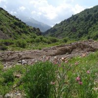 НАШИ ПРОГУЛКИ. :: Виктор Осипчук