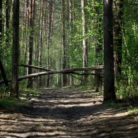 *** :: Владимир 