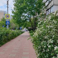 ,,, :: Сергей Тимоновский