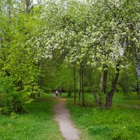 Прогулка в парке :: Александр Синдерёв
