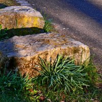 Весенние зарисовки 121 :: Алексей Кузнецов