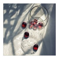 ... :: Елена Демидова 