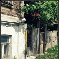 рябина расцвела :: Любовь рябина расцвела :: Любовь