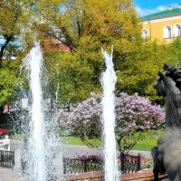 Сезон фонтанов открыт. :: Татьяна Помогалова