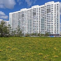 Пора одуванчиков :: Валерий Иванович