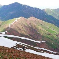 НАШИ ПРОГУЛКИ. :: Виктор Осипчук НАШИ ПРОГУЛКИ. :: Виктор Осипчук