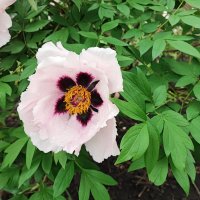 ,,, :: Сергей Тимоновский ,,, :: Сергей Тимоновский