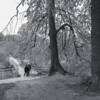 ***** :: юрий поляков