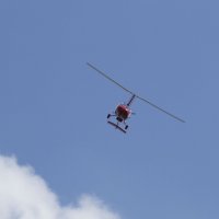 09.05.2025 :: Пасечник 
