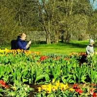 Сессия около тюльпановой клумбы :: Aida10 Сессия около тюльпановой клумбы :: Aida10