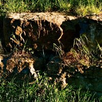 Весенние зарисовки 128 :: Алексей Кузнецов Весенние зарисовки 128 :: Алексей Кузнецов