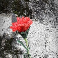 *** :: Наталья Герасимова