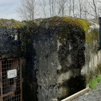 ДОТ N204 :: Наталья Герасимова ДОТ N204 :: Наталья Герасимова