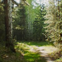 Май Чернолучье :: Сергей Царёв