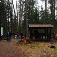 В Линдуловской роще :: Магомед . В Линдуловской роще :: Магомед .