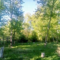 Был месяц май :: Андрей Хлопонин Был месяц май :: Андрей Хлопонин