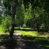 Чебоксары. Тропинка сквера клиники "Северной" летом. :: Пётр Чернега Чебоксары. Тропинка сквера клиники "Северной" летом. :: Пётр Чернега