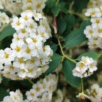 ,,, :: Сергей Тимоновский ,,, :: Сергей Тимоновский