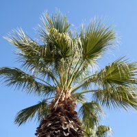 *** :: Oleg4618 Шутченко