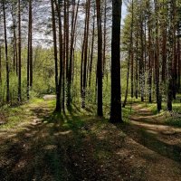 *** :: Владимир 