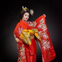 The beauty of national Japanese clothing :: Author 