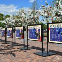 В парке. :: Наталья Вязигина В парке. :: Наталья Вязигина