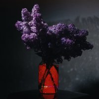 Сирень Великой Победы. :: Анатолий Щербак