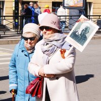 *** :: Виктор Никитенко