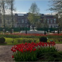 Весеннний парк он вдохновляет,радует и манит! :: Нина Андронова