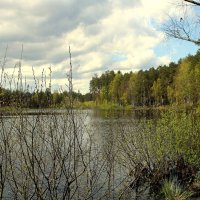 *** :: Aleksandr Gal *** :: Aleksandr Gal