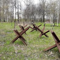 Участок оборонительного рубежа "Ижора" :: Наталья Герасимова