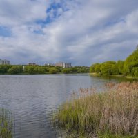 Весенний пруд... :: Владимир Жданов