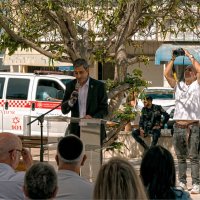 Мигдаль аЭмек 2025г МЕР ГОРОДА :: ujgcvbif 