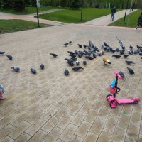 И всем хорошо - и ребенку, и птичкам, и снимающему, и смотрящим (надеюсь) :: Андрей Лукьянов И всем хорошо - и ребенку, и птичкам, и снимающему, и смотрящим (надеюсь) :: Андрей Лукьянов