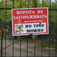 Доходчиво, находчиво) :: Митяй Митрич