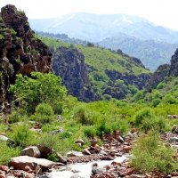 НАШИ ПРОГУЛКИ. :: Виктор Осипчук