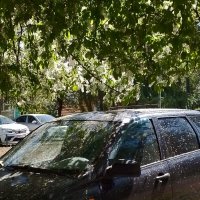 *** :: Валентина Береснева